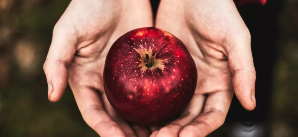 best apple trees for saskatchewan bugs