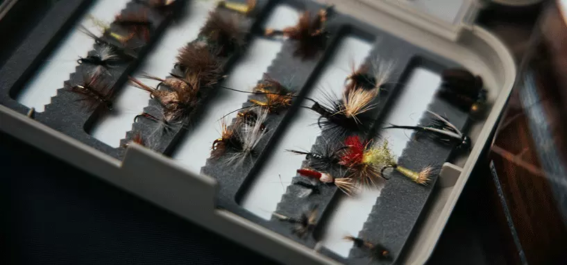 saskatchewan fishing lodges