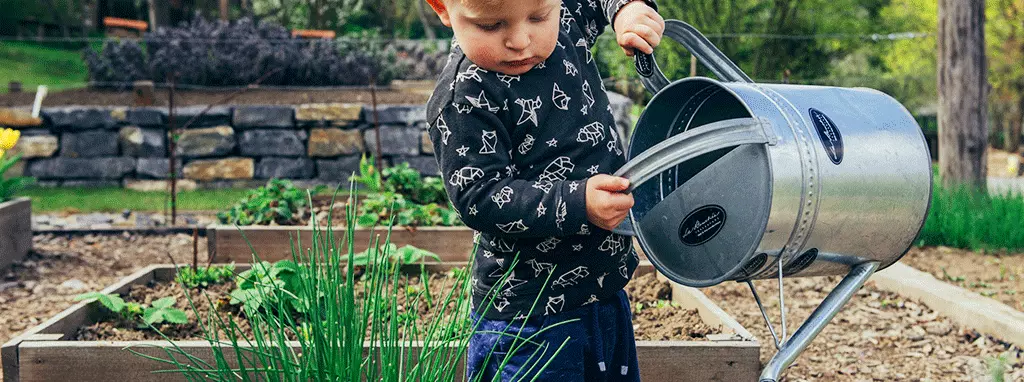 winter best perennials for saskatchewan
